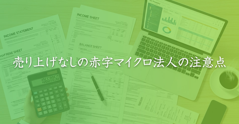 売り上げなしの赤字マイクロ法人の注意点